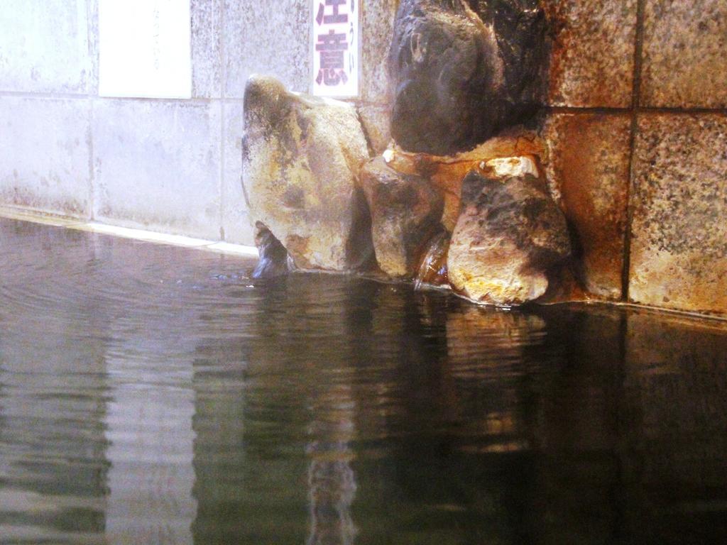 Отель Chouchinya Нодзаваонсен Экстерьер фото